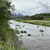 6月9日(火)荒川柳大橋の河川情報