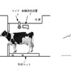 AI活用乳牛発情検知システム