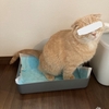 生活費をさげたい貧乏人がふるさと納税で実際に今年申し込んだ「生活必需品の数々+番外編」