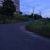 おわり坂～天野街道～穴地蔵をラン。暑いですね～。。脱水注意！