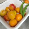 5月の食費と家庭菜園とあんずの収穫