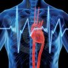 Cardiovascular Devices Market Trends, Size, Growth and Demand, 2023