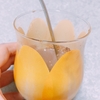 相変わらず支出がすごい