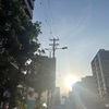 損傷