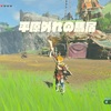 ゼルダの伝説BotW：プレイ日記20