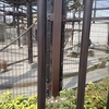 ３月第３週まとめ