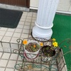母を守る
