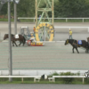 西将太騎手５度目の正直で今季初勝利！（通算４勝目！）