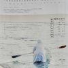 「疑存島　― 他者なき世界の地図作成法 ―」。2014.3.8~4.6。gallery COEXIST – TOKYO。