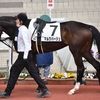 2023.3.25 マルクパージュさん 阪神芝1400m に出走でした
