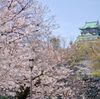 大阪 桜クルーズ