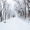 雪が降る日の眠気とアメリカのラーメンの話