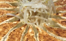 記事を見る