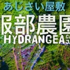 4K DJI Spark Drone Japan ドローン 空撮 『服部農園あじさい屋敷』テレ朝ニュース話題 