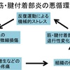 「ハムストリングス付着部炎」克服計画！