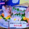 【ZIP】愛媛県で朝ごはんジャーニー