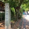 天王山トレーニングのつもりで登る