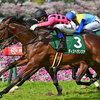 競馬初心者必見☆馬券予想🔥〜チャーチルダウンズC〜NHKマイルに向けた1戦！