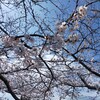 4月8日　水　一粒万倍日
