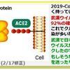 コロナの文献は、1か月で古典に