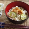 昼食に、おろし醤油うどん　野菜天ぷら