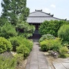 專稱寺の紫陽花。
