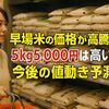 早場米の価格が高騰中！5kg5,000円は高い？今後の値動き予測