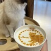 ひろしまゲートパークのパン屋と猫カフェで娘ちゃんとデート