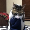 お仕事中