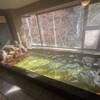 氷川郷麻葉の湯「三河屋旅館」温泉ソムリエの日帰り入浴体験ブログ｜多摩川の源流を望む大浴場を満喫