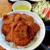 福井の名物カツ丼（卵なし）と、足羽川の桜さんぽ