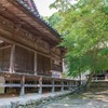 岡山県のアジサイの名所を訪ねて　大滝山西法院