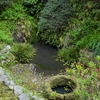 鏡花の池（神奈川県逗子）
