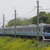 線路際の菜の花バックに築堤を走る東京臨海高速鉄道70系電車