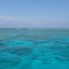 【ケアンズ旅行記：観光編】Greate barrier reefでダイビング＆シュノーケリング