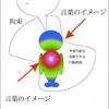 ゆとり世代に共通する意識を追求する　０３