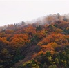 福井県若狭町三方五湖_三方湖にて撮影_α7c