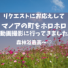 森林浴？マノアをホロホロでネタ集め