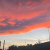 今日のお題は初夏の夕焼け