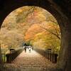 都内から日帰りで行ける秋旅スポット！碓氷峠の廃線跡「アプトの道」絶景紅葉狩り散策コース（2）｜2024年見頃の時期、紅葉状況、見どころ、往復所要時間、めがね橋、熊ノ平、鉄道文化むら、服装、靴（群馬県安中市）