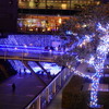 横浜の夜景とすばらしい「光のアート」見物！！