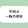 お財布新調しました