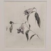 ガルリSOLの「いつくしみ展」を見る