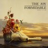　The Joy Formidable/Wolf's Law