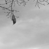 明日から師走