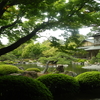 大根島・由志園の花と情景 13 （島根県松江市）