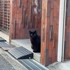 天気も心もポカポカな日曜日！
