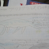 恐竜ではない生き物２　恐竜解説２