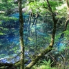 自然にどっぷり浸かる、白神山地３泊４日の旅。（その7　十二湖散策で白神山地の旅を締めくくる）