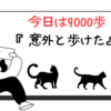 今日も脚は痛いがたくさん歩いた！